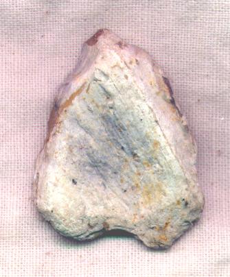 or Petrifying Wood